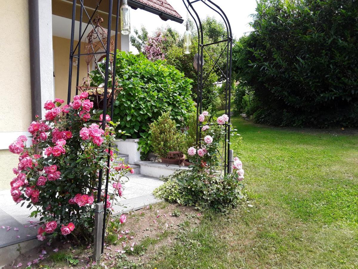Anna'S Home - Ferienwohnungen Рач-ан-дер-Вайнштрассе Экстерьер фото